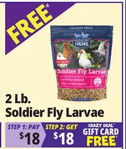 Ocean State Job Lot Hungry Hens Soldier Fly Larvae 2 lbs offer