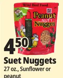 Ocean State Job Lot Suet Nuggets offer