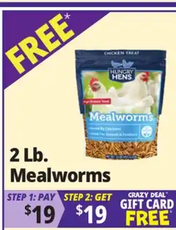 Ocean State Job Lot Hungry Hens Mealworms offer