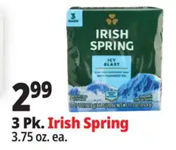 Ocean State Job Lot 3 Pk. Irish Spring offer