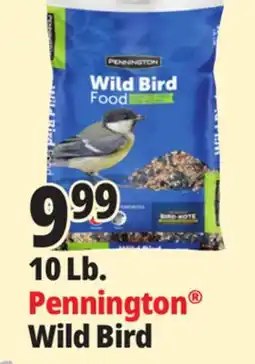 Ocean State Job Lot 10 Lb. Pennington Wild Bird offer