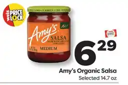 Weis Markets Amy's Organic Salsa offer