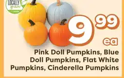 Weis Markets Pink Doll Pumpkins, Blue Doll Pumpkins, Flat White Pumpkins, Cinderella Pumpkins offer