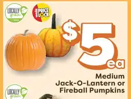 Weis Markets Medium Jack-O-Lantern or Fireball Pumpkins offer