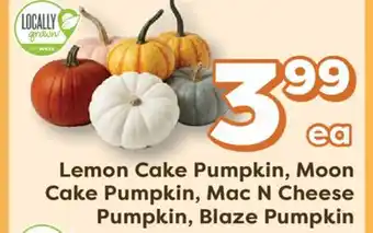 Weis Markets Lemon Cake Pumpkin, Moon Cake Pumpkin, Mac N Cheese Pumpkin, Blaze Pumpkin offer