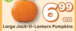 Weis Markets Large Jack-O-Lantern Pumpkins offer