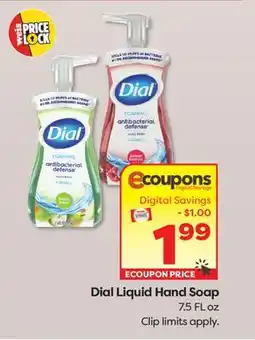 Weis Markets Dial Liquid Hand Soap offer