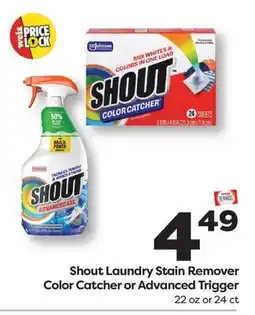 Weis Markets Shout Laundry Stain Remover Color Catcher or Advanced Trigger offer