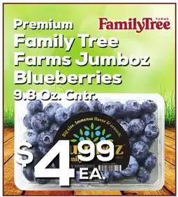 DeCicco & Sons Premium Family Tree Farms Jumboz Blueberries offer