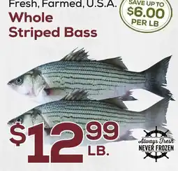 DeCicco & Sons Whole Striped Bass offer