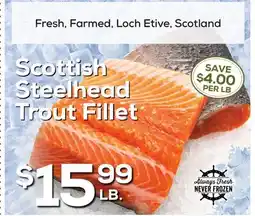 DeCicco & Sons Scottish Steelhead Trout Fillet offer
