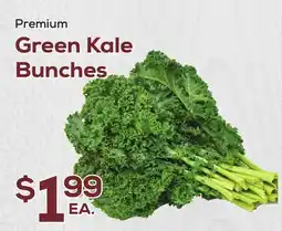 DeCicco & Sons Premium Green Kale Bunches offer