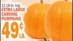 Bravo Supermarkets EXTRA LARGE CARVING PUMPKINS offer