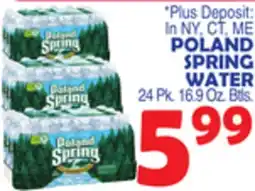 Bravo Supermarkets POLAND SPRING WATER offer