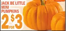 Bravo Supermarkets JACK BE LITTLE MINI PUMPKINS offer