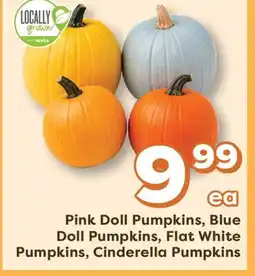 Weis Markets Pink Doll Pumpkins, Blue Doll Pumpkins, Flat White Pumpkins, Cinderella Pumpkins offer