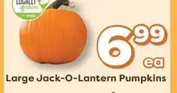Weis Markets Large Jack-O-Lantern Pumpkins offer