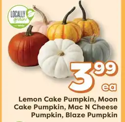 Weis Markets Lemon Cake Pumpkin, Moon Cake Pumpkin, Mac N Cheese Pumpkin, Blaze Pumpkin offer
