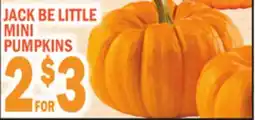 C Town JACK BE LITTLE MINI PUMPKINS offer