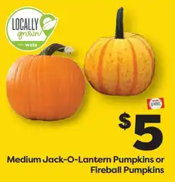 Weis Markets Medium Jack-O-Lantern Pumpkins or Fireball Pumpkins offer