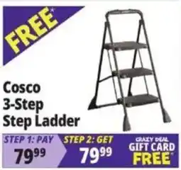 Ocean State Job Lot Cosco 3-step step ladder offer