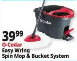 Ocean State Job Lot O-Cedar easy wring spin mop & bucket system offer