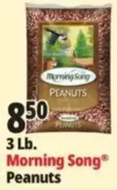 Ocean State Job Lot Morning Song Peanuts offer