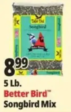 Ocean State Job Lot Better Bird Songbird Mix offer