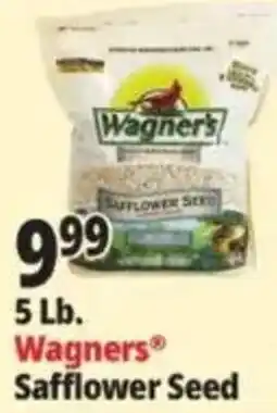 Ocean State Job Lot Wagners Safflower Seed offer