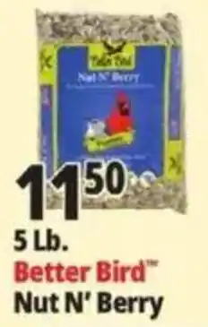 Ocean State Job Lot Better Bird Nut N' Berry offer