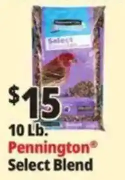 Ocean State Job Lot Pennington Select Blend offer