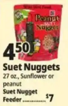 Ocean State Job Lot Peanut Suet Nuggets offer