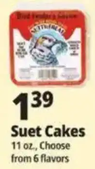 Ocean State Job Lot Bird Feeder's Choice Suet Cakes offer