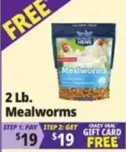 Ocean State Job Lot Succa Hens Mealworms offer