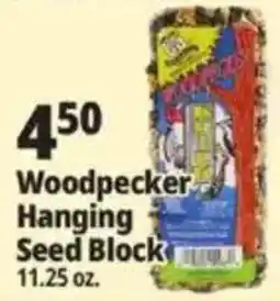 Ocean State Job Lot Woodpecker Hanging Seed Block offer