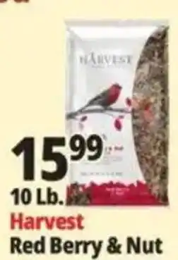 Ocean State Job Lot Harvest Red Berry & Nut offer