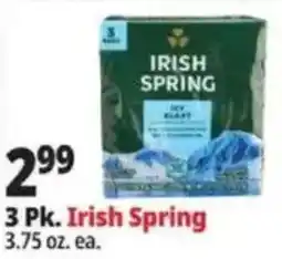 Ocean State Job Lot Irish Spring offer