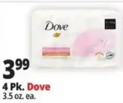 Ocean State Job Lot Dove offer