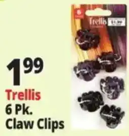 Ocean State Job Lot Trellis claw clips offer
