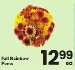 ACME Fall Rainbow Poms offer