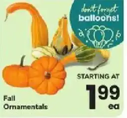 ACME Fall Ornamentals offer