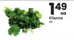 ACME Cilantro offer