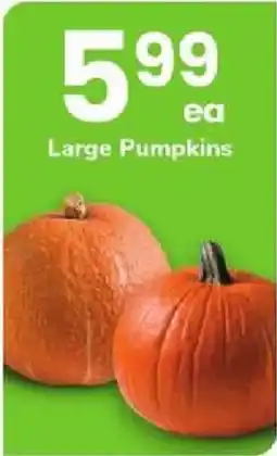 ACME Large Pumpkins offer