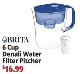 Ocean State Job Lot Brita 6 cup denali water filter pitcher offer