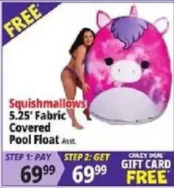 Ocean State Job Lot Squishmallows pool float offer