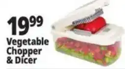 Ocean State Job Lot Vegetable Chopper & Dicer offer