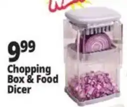 Ocean State Job Lot Chopping Box & Food Dicer offer