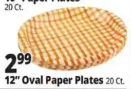 Ocean State Job Lot 12" Oval Paper Plates offer