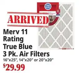 Ocean State Job Lot True Blue merv 11 rating air filters offer