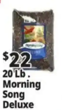 Ocean State Job Lot Morning Song Deluxe offer